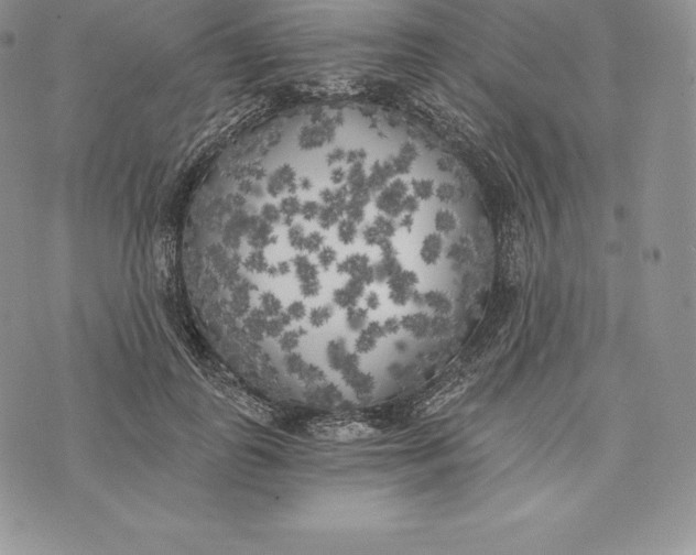 X0000072930747200608111535