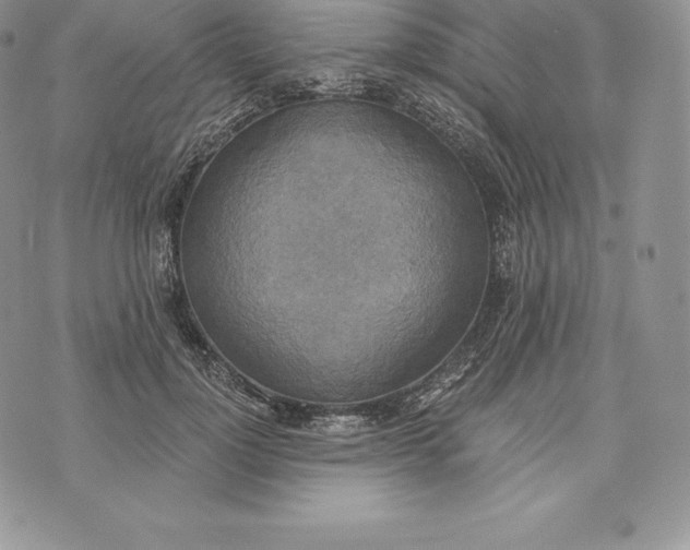 X0000072930748200608111535