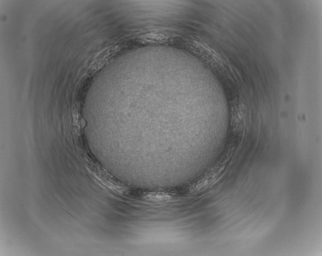 X0000072930749200608111535