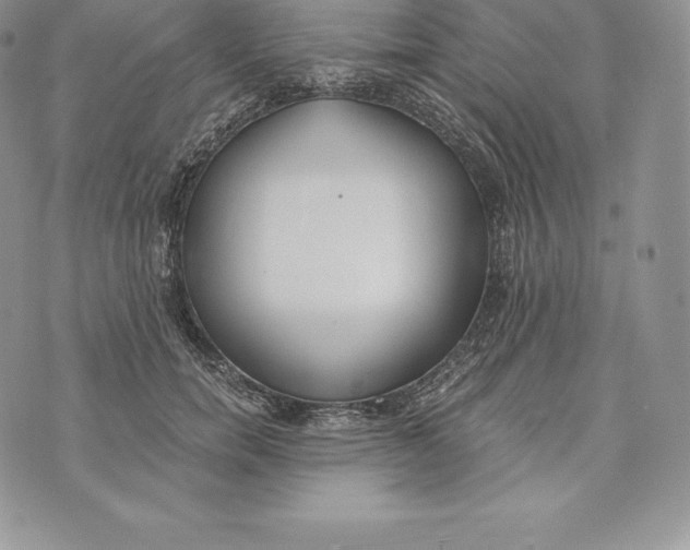 X0000072930750200608111535