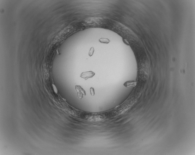 X0000072930751200608111535