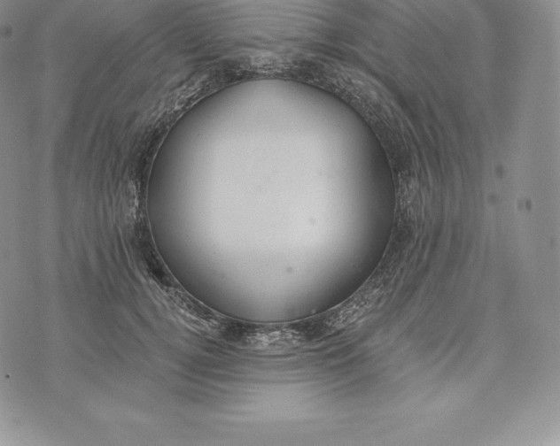 X0000072930752200608111535