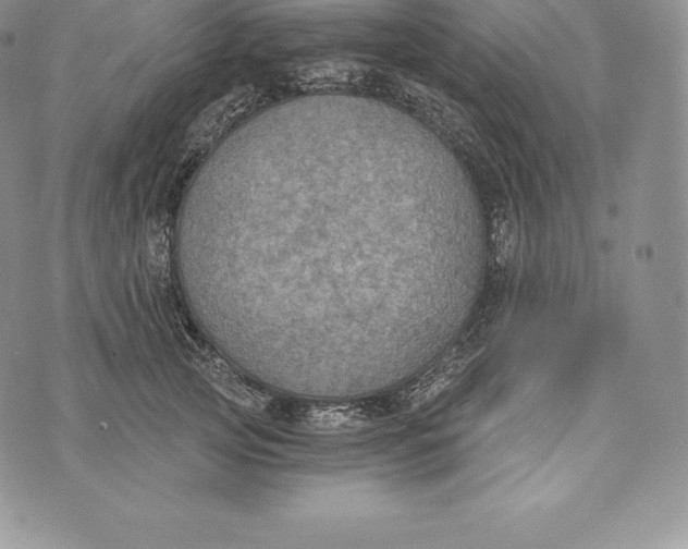 X0000072930753200608111535