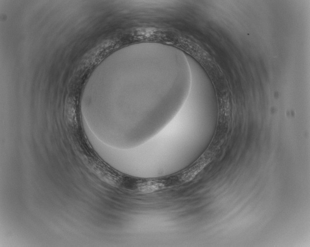 X0000072930754200608111535