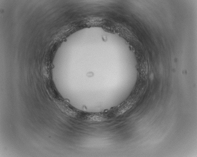 X0000072930755200608111535