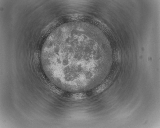 X0000072930757200608111535