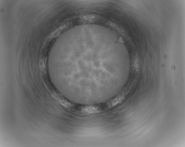 X0000072930759200608111535