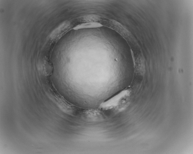 X0000072930762200608111535