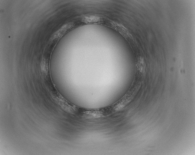 X0000072930763200608111535