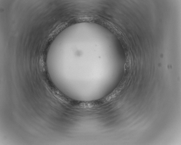 X0000072930764200608111535