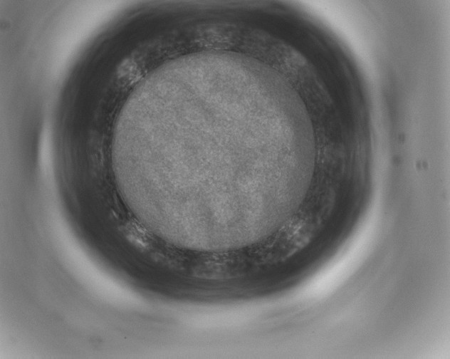 X0000072930765200608111535