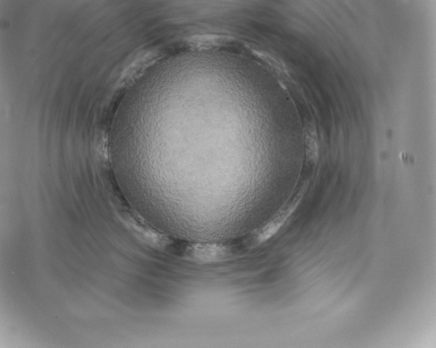 X0000072930766200608111535