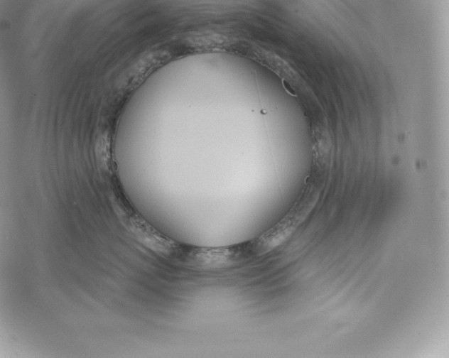 X0000072930767200608111535