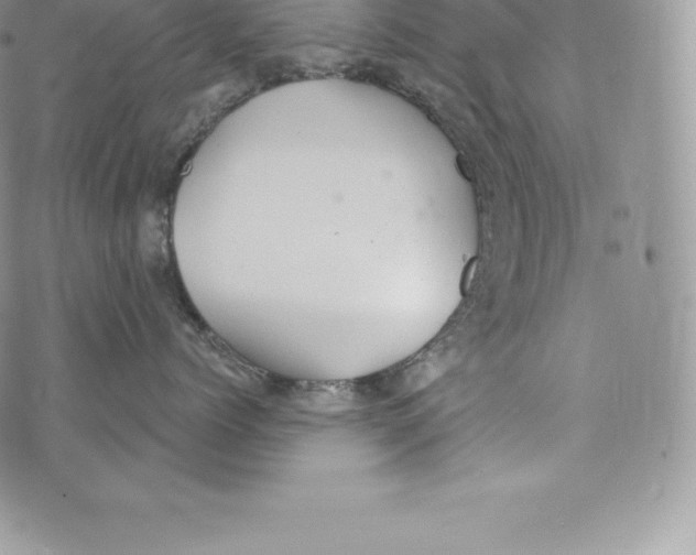 X0000072930768200608111535