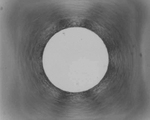 X0000072930769200608111534