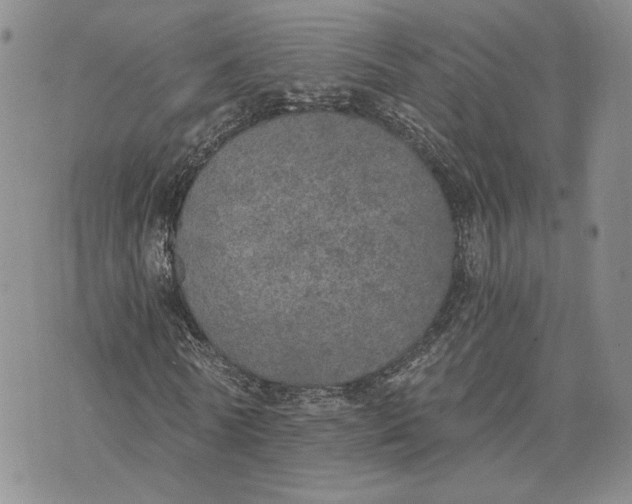 X0000072930770200608111534