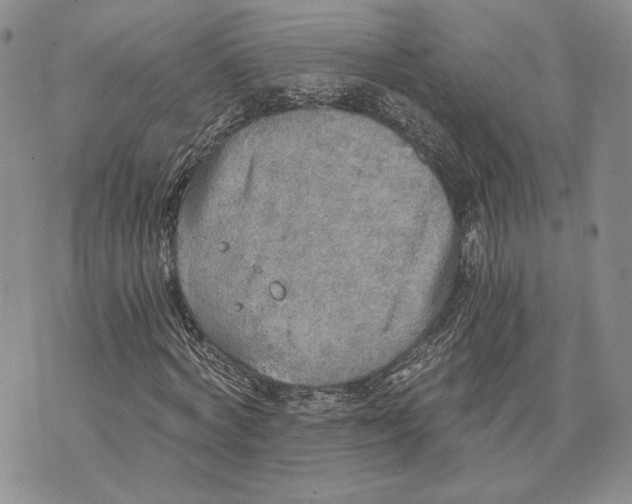 X0000072930772200608111534