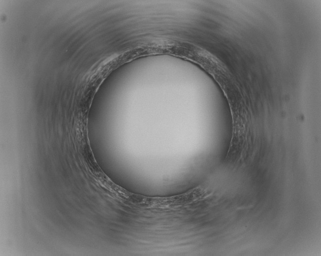 X0000072930773200608111534