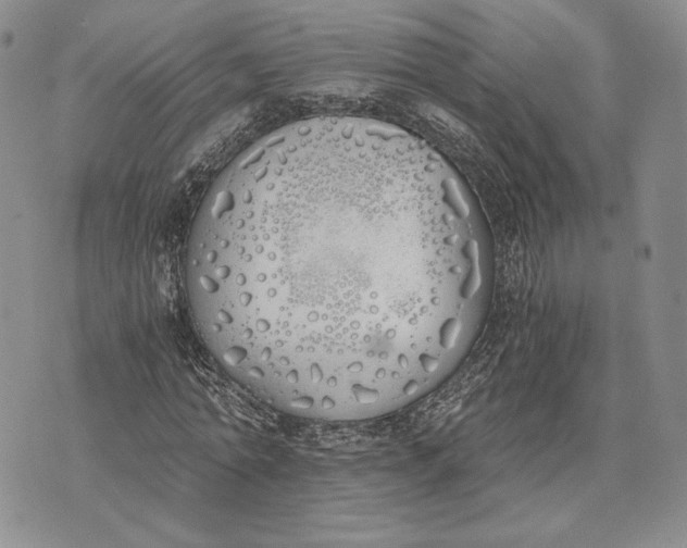 X0000072930774200608111534