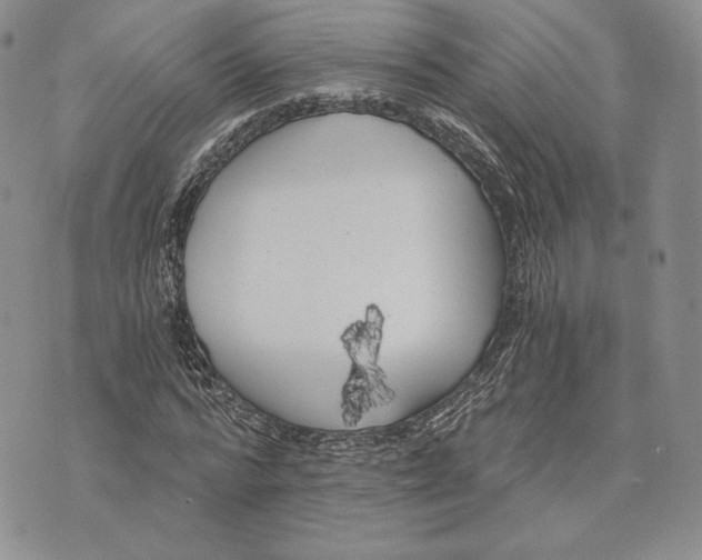 X0000072930776200608111534