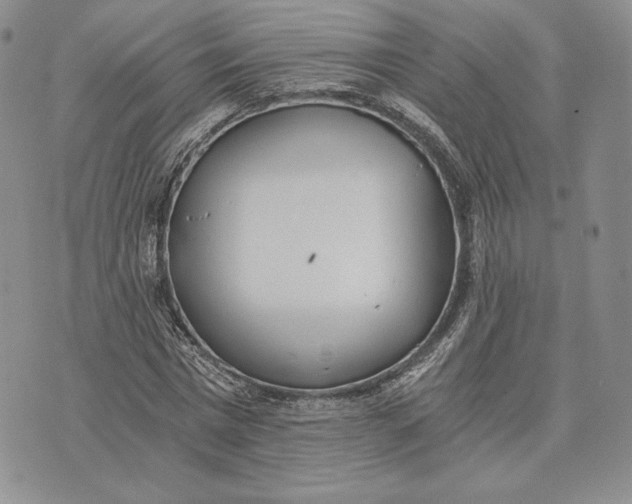 X0000072930777200608111534