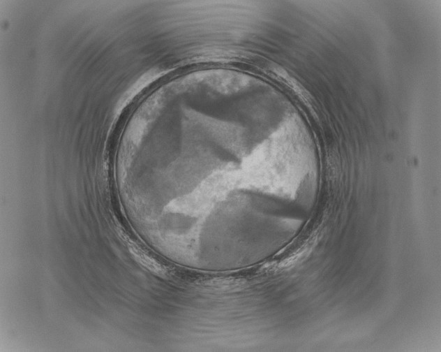 X0000072930779200608111534