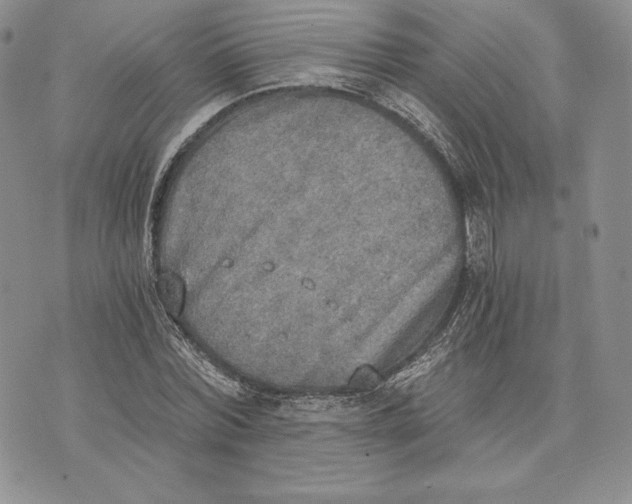 X0000072930780200608111534