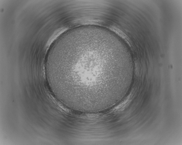 X0000072930782200608111534