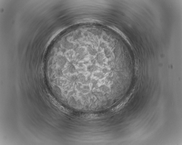 X0000072930783200608111534