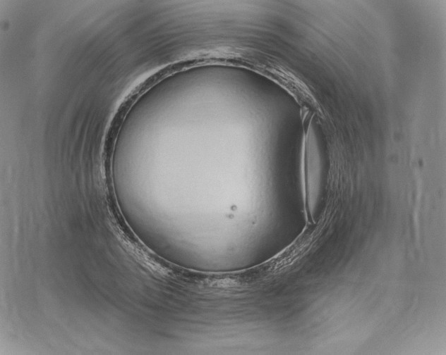 X0000072930784200608111534