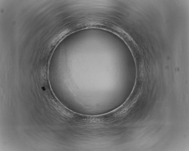 X0000072930785200608111534