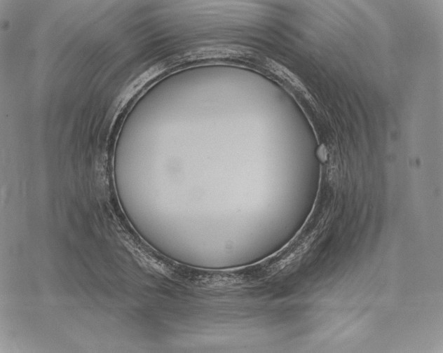 X0000072930786200608111534