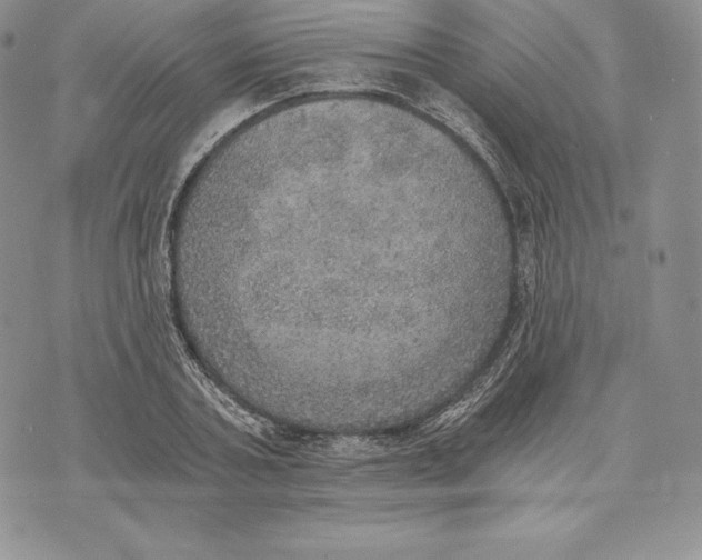 X0000072930787200608111534