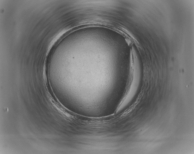 X0000072930788200608111534