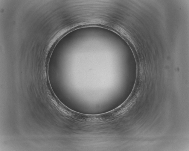 X0000072930789200608111534