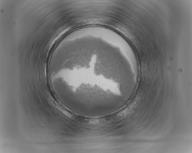 X0000072930790200608111534