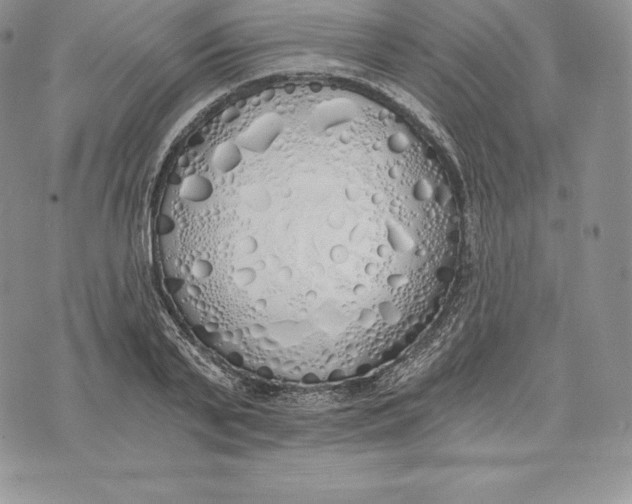 X0000072930791200608111534