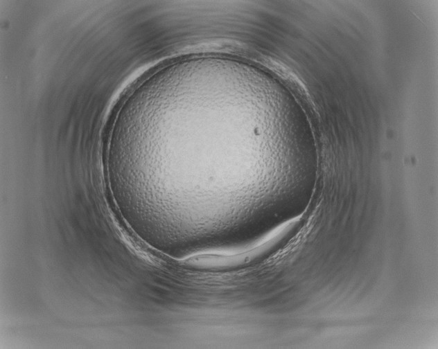 X0000072930792200608111534