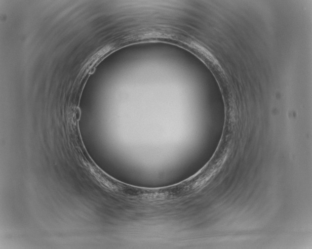 X0000072930793200608111534