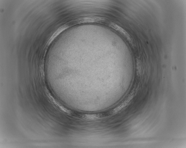 X0000072930794200608111534