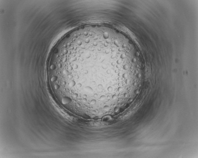 X0000072930795200608111534