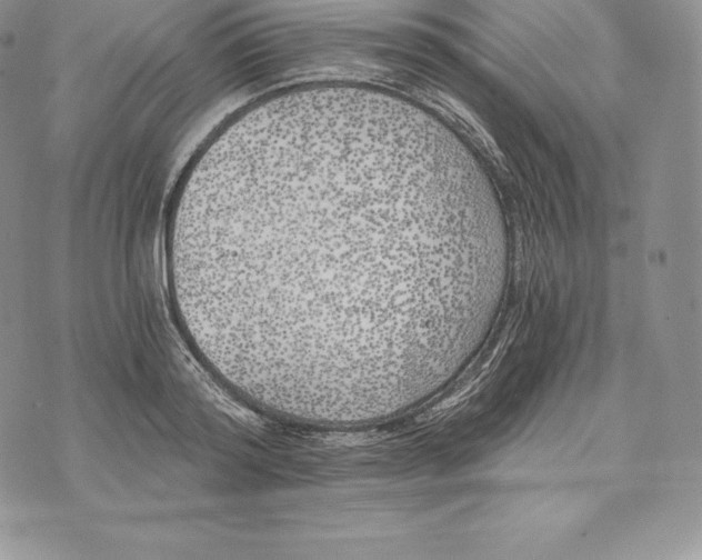 X0000072930796200608111534