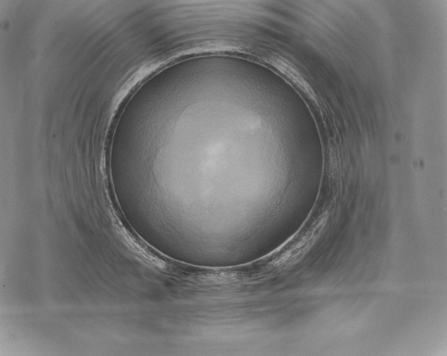 X0000072930797200608111534