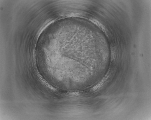 X0000072930798200608111534