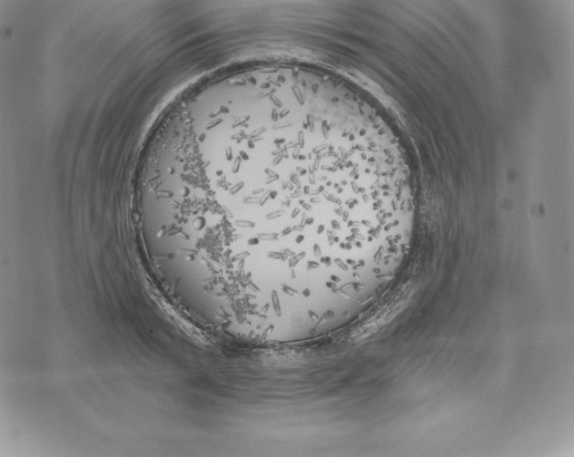 X0000072930799200608111534