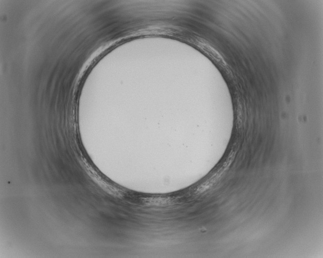 X0000072930800200608111534