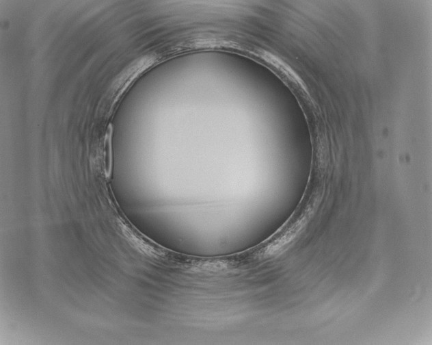 X0000072930801200608111534