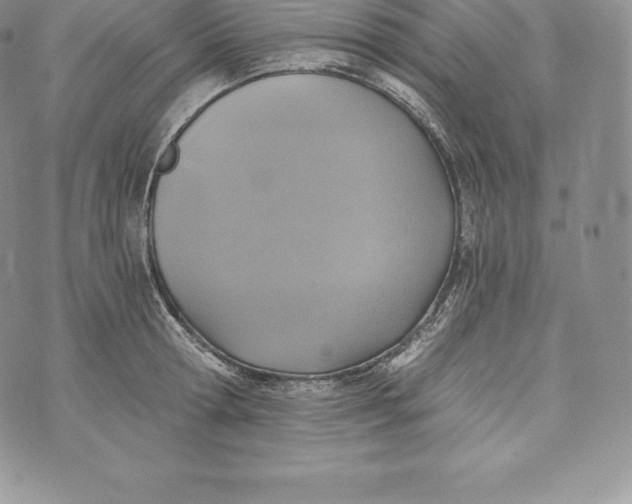 X0000072930802200608111534