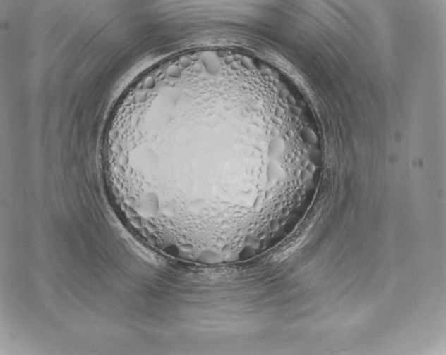 X0000072930803200608111534