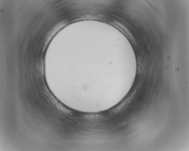 X0000072930804200608111534